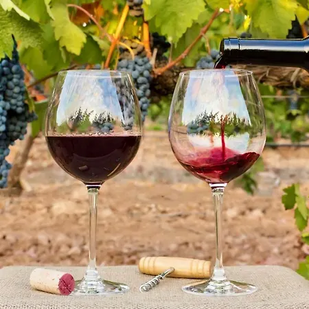 The Seaview Of Your Dreams -wifi, Aircon Portimão