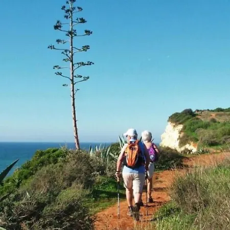 Lejlighed The Seaview Of Your Dreams -wifi, Aircon Portimão